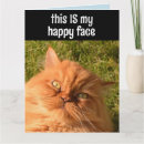 Recherche de persian vœux cartes Drôle