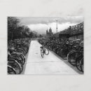 Recherche de solo Photographie
