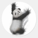 Recherche de panda rouge autocollants Ours de panda
