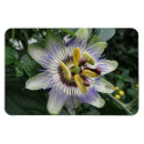 Recherche de passion magnets Pour tous