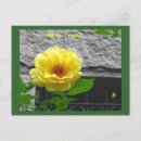 Recherche de jaunes cartes postales Friend