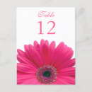 Suche nach table number postkarten Blume
