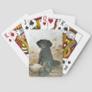 Recherche de labrador noir jeux de cartes Labo
