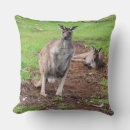 Recherche de buck coussins Animaux