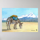 Recherche de bolivie posters Nature