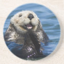 Recherche de mousse dessous de verres Animal