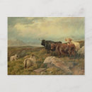 Suche nach 85 postkarten Ansdell