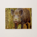 Recherche de sanglier puzzles Animaux