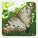 Recherche de fleurs de jasmin autocollants Nature
