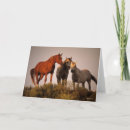 Suche nach arabische pferde karten Stehend