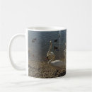 Recherche de cygnes tasses Nature