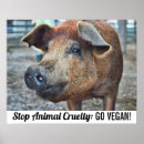 Recherche de cruauté animale Arrêter la cruauté animale