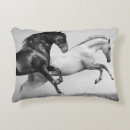 Recherche de petit galop maison deco Baie