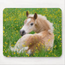 Recherche de poney mignon tapis souris Poulain