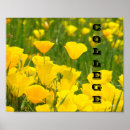 Suche nach mohnblume poster Für kinder