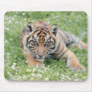 Suche nach tigerkatze mousepads Niedlich