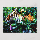 Suche nach amur postkarten Tiger