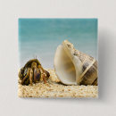 Suche nach muschel buttons Tier