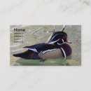 Suche nach duck visitenkarten Wasservögel