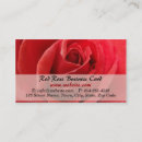 Recherche de rose rouge romantique cartes visite Romance