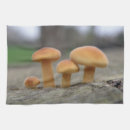 Suche nach rollstuhl rollstuhl geschirr tücher Natur