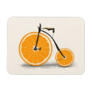 Suche nach vitamin magnete Frisch