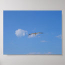 Recherche de mouettes art Nuage