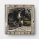 Recherche de cadre en bois plaques Image
