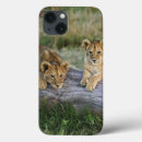 Recherche de panthera électronique Ourson
