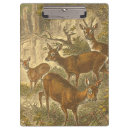 Suche nach jagd klemmbrett Rotwild
