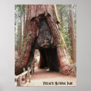 Suche nach tunnels poster Wald