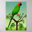Suche nach grüner papagei poster Vögel