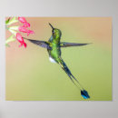 Recherche de botte photographie Nature
