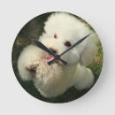 Suche nach poodle wanduhren Haustiere
