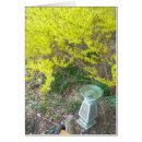 Recherche de forsyth Jardin
