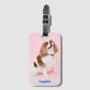 Suche nach haustiere gepäckanhänger Für sie