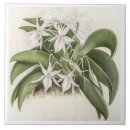 Suche nach vintage blumen fliesen Natur