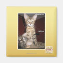 Suche nach idiot magnete Ich kann habe cheezburger