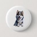 Recherche de alaskan badges Chiot