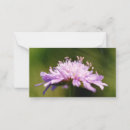 Suche nach liebhaber kleine grußkarten Geburtstag