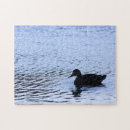 Suche nach ente puzzle See