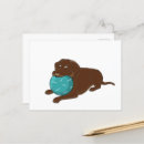 Suche nach labrador cartoon postkarten Niedlich