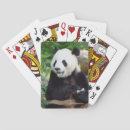 Suche nach bambus spielkarten Panda