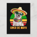 Suche nach sombrero postkarten Cinco de mayo