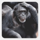 Recherche de funny animals autocollants Zoo
