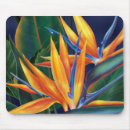 Recherche de mousepad de ketmie électronique Hawaï