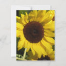 Recherche de tournesols cartes postales Heureux