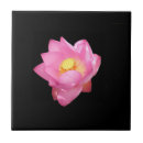 Suche nach schwarze lilie fliesen Schön