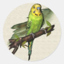 Recherche de volière autocollants Nature