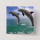 Suche nach delfin buttons Illustration